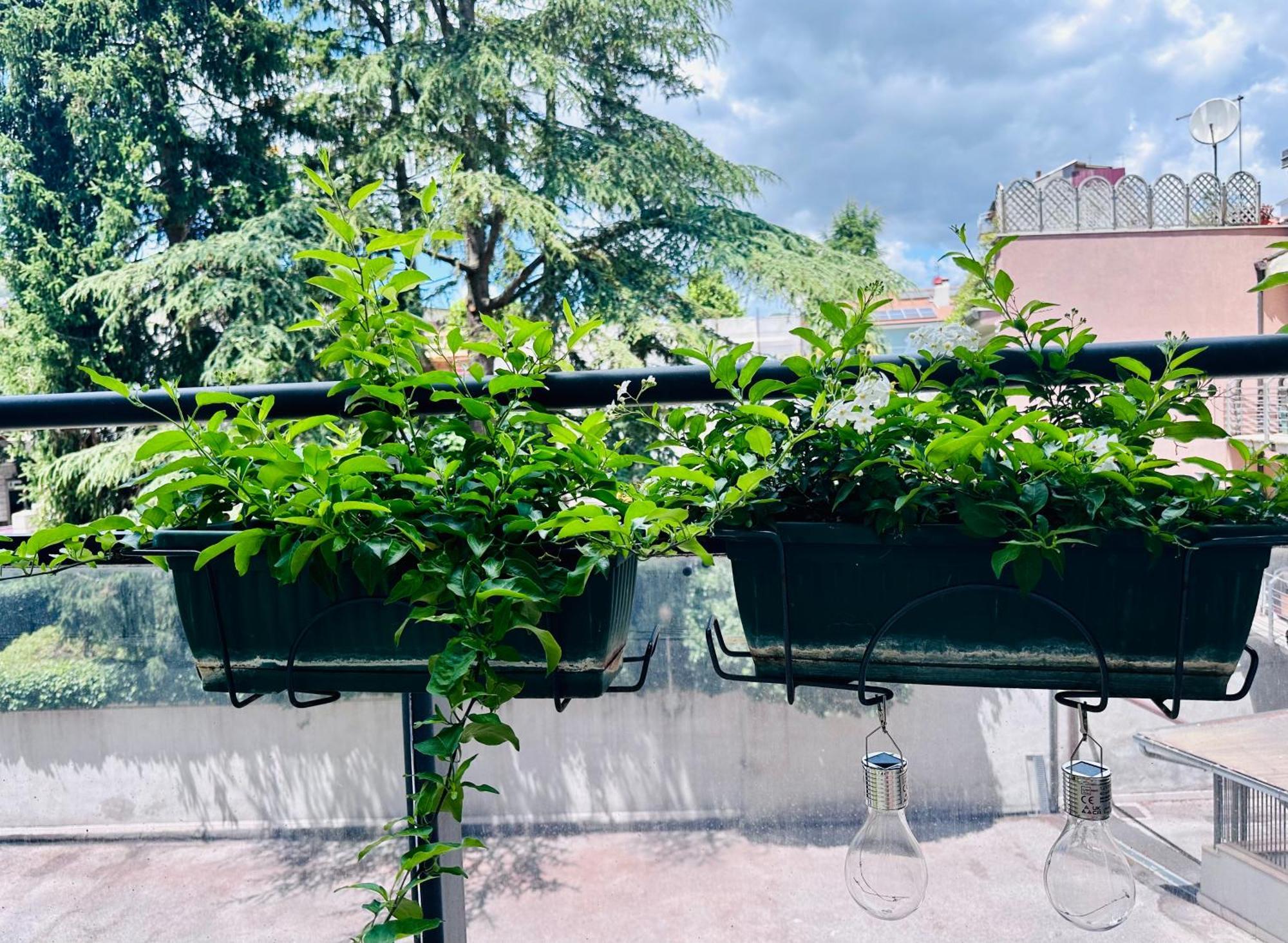 M Boutique Suite Avezzano Exteriér fotografie